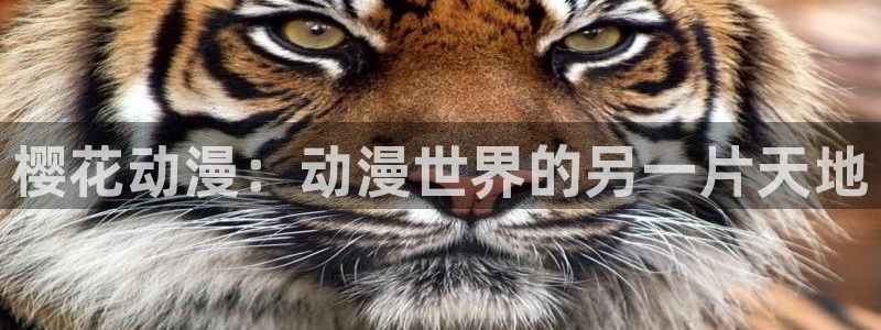 age专注动漫的门户网站：樱花动漫：动漫世界的另一片天地
