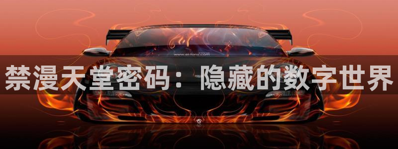 下载风车动漫：禁漫天堂密码：隐藏的数字世界