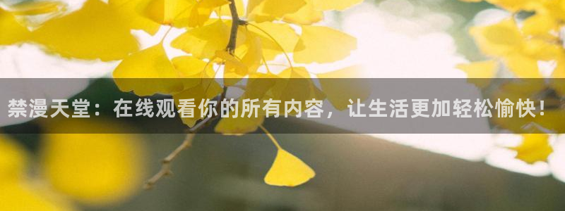 风车动漫网上看：禁漫天堂：在线观看你的所有内容，让生活更加轻松愉快！