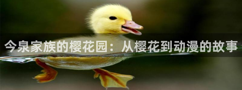 风车动漫正版网：今泉家族的樱花园：从樱花到动漫的故事