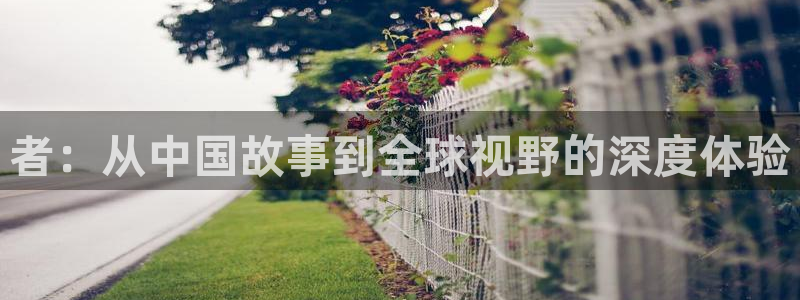 风车动漫下载网：者：从中国故事到全球视野的深度体验