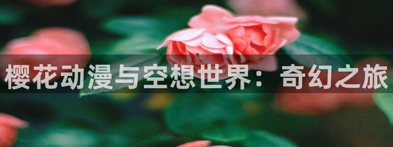 风车动漫下载：樱花动漫与空想世界：奇幻之旅