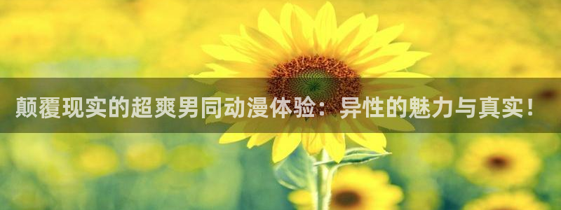 风车动漫官网网址：颠覆现实的超爽男同动漫体验：异性的魅力与真实！