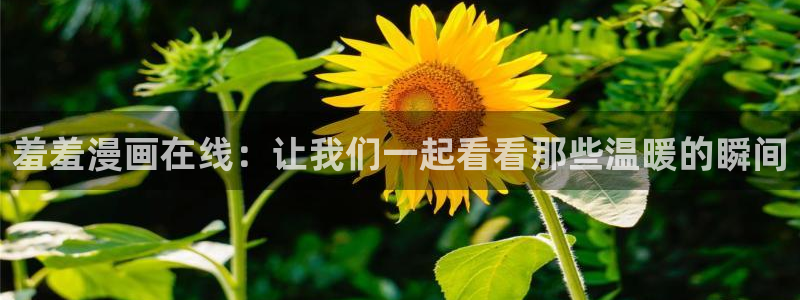 风车动漫网下载：羞羞漫画在线：让我们一起看看那些温暖的瞬间