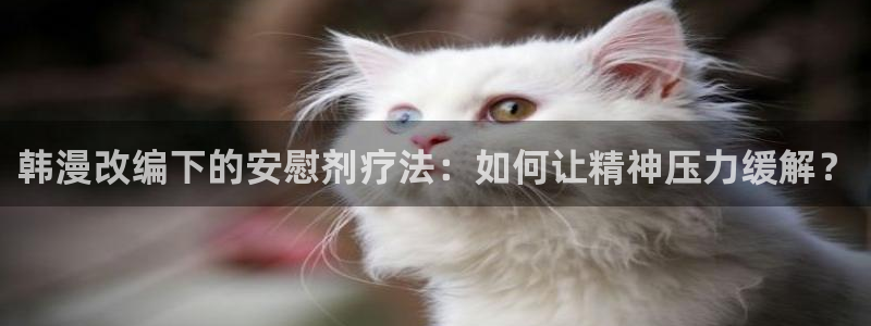 风车动漫官网樱花动漫：韩漫改编下的安慰剂疗法：如何让精神压力缓解？