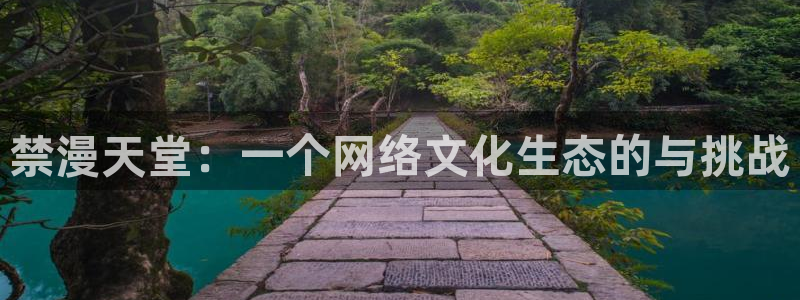 风车动漫官网版入口：禁漫天堂：一个网络文化生态的与挑战