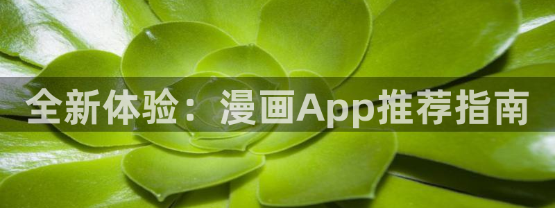 风车动漫官网网址：全新体验：漫画App推荐指南