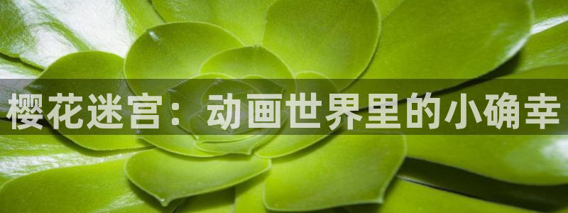 风车动漫omofun：樱花迷宫：动画世界里的小确幸