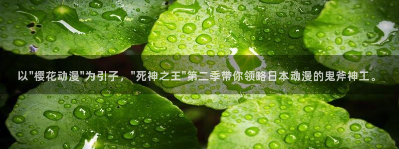 风车动漫下载：以\