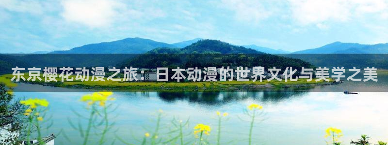 风车动漫网上看：东京樱花动漫之旅：日本动漫的世界文化与美学之美