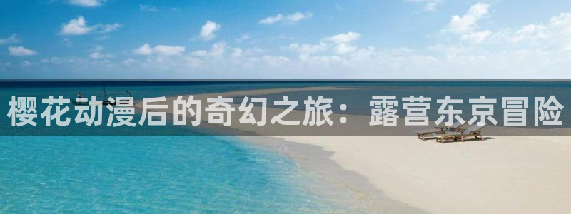 风车动漫网：樱花动漫后的奇幻之旅：露营东京冒险