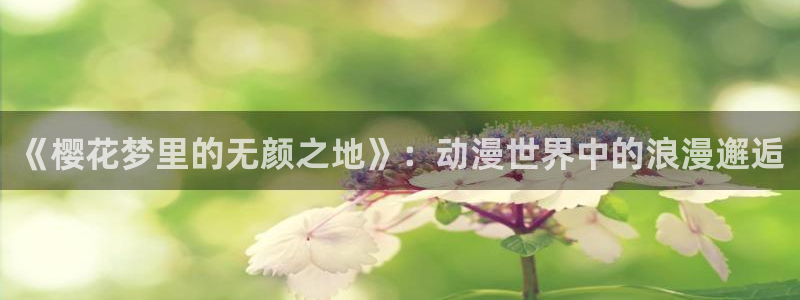 风车动漫官网在线入口：《樱花梦里的无颜之地》：动漫世界中的浪漫邂逅
