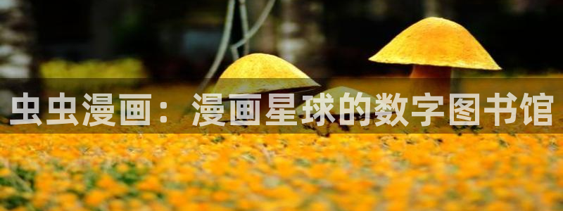 下载风车动漫：虫虫漫画：漫画星球的数字图书馆