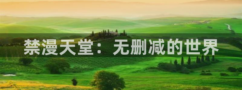 风车动漫官网网址：禁漫天堂：无删减的世界
