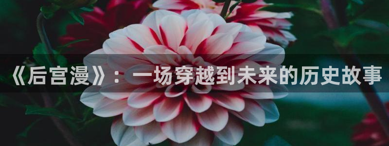 风车动漫下载动漫全免费：《后宫漫》：一场穿越到未来的历史故事
