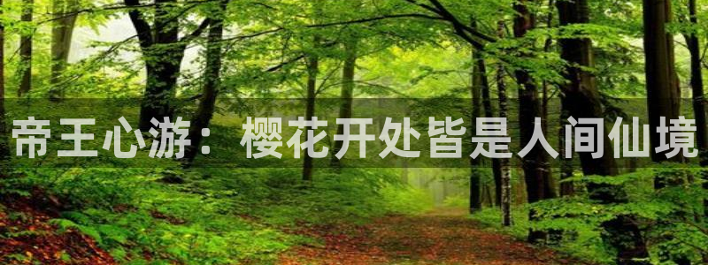 风车动漫官网版入口：帝王心游：樱花开处皆是人间仙境