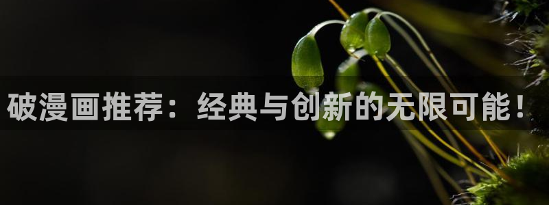 下载风车动漫：破漫画推荐：经典与创新的无限可能！