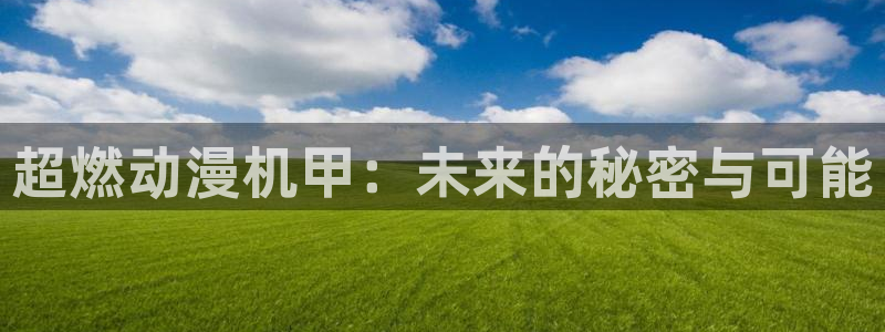 风车动漫官网入口老版本：超燃动漫机甲：未来的秘密与可能