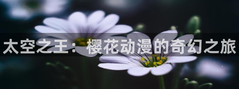 风车动漫omofun：太空之王：樱花动漫的奇幻之旅