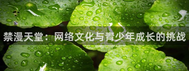 在线动画动漫下载风车动漫：禁漫天堂：网络文化与青少年成长的挑战