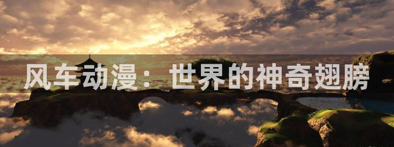风车动漫官网版入口：风车动漫：世界的神奇翅膀