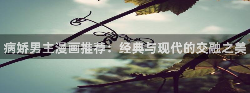 风车动漫omofun：病娇男主漫画推荐：经典与现代的交融之美