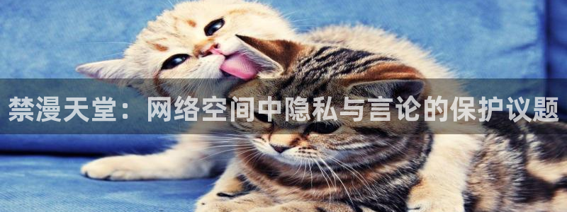 age漫画网：禁漫天堂：网络空间中隐私与言论的保护议题
